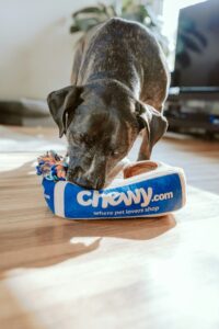 Crunchy Dental Care Biscuits with Calcium & Chicken